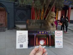 -张掖大佛寺景区