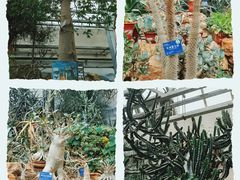 -国家植物园南园