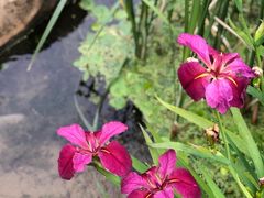 -贵阳市花溪国家城市湿地公园