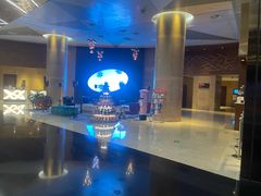 -南京禄口机场雅高铂尔曼大酒店