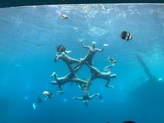 -瑞德姆美人鱼海底演艺主题餐厅(亚龙湾店)