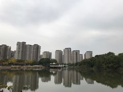 -新江湾城公园