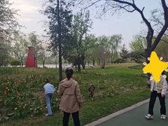 -迎泽公园