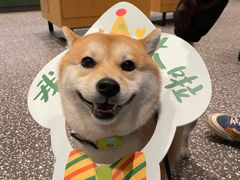 -星巴克(成都泛悦城市广场店)