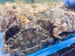 -拉完海鲜大排档(温岭店)
