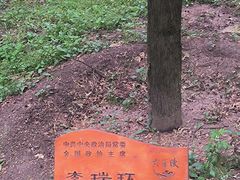 -黄帝陵