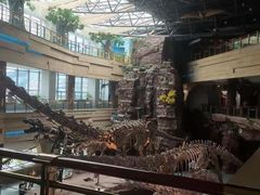 -安徽省地质博物馆