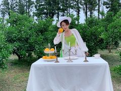 -柑橘农场