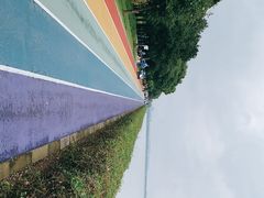 -贡湖湾湿地公园