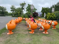 -上海长兴岛郊野公园