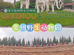 -贵州森林野生动物园