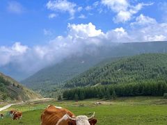 -五台山风景名胜区