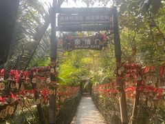-呀诺达热带雨林