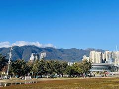 -洱海月湿地公园