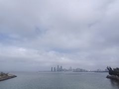 -万绿园