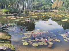-中国科学院西双版纳热带植物园