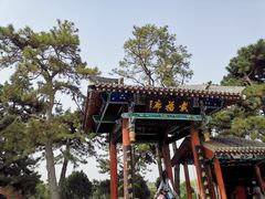 -中国唐苑