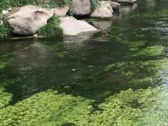 android_upload_pic-水磨沟公园