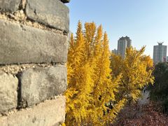 -西安城墙·碑林历史文化景区