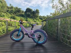景点-东钱湖旅游度假区