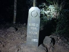 -梧桐山风景名胜区