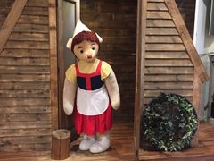 -济州岛泰迪熊博物馆