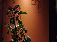 -LAMP BAR 水烟音乐酒吧