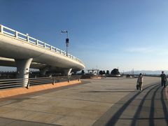 -演武大桥观景平台