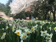 -杭州少年儿童公园