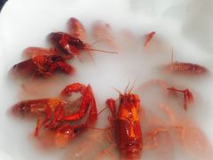 虾弄弄-虾弄弄海派小龙虾·牛羊蝎子火锅
