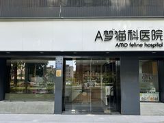 -御宝贝·A梦猫科宠物医院(国际猫友好医院)