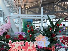 -重庆江北国际机场-T2航站楼