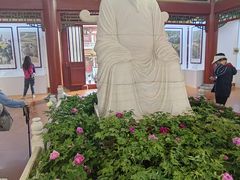 -神州牡丹园