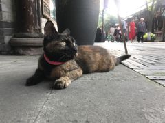 -恺庐茶园(宽窄巷子景区店)