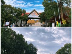 -上海海湾国家森林公园