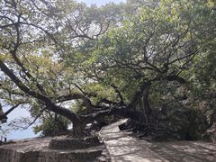 -抚仙湖禄充风景区