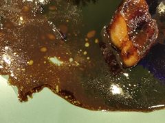 -渔民新村(番禺总店)