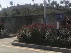 -安飞驰驾校·学车连锁(金高店)