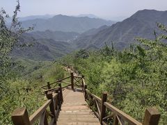 -大岭沟猕猴桃谷风景区