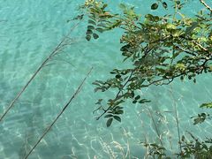 -武陵山森林公园