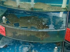 -聚德福海鲜家常菜(刘庄店)