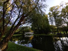 -上海共青森林公园