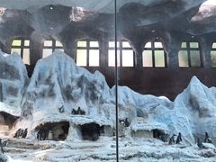 -帝企鹅自助餐厅•儿童岛•真企鹅(长隆企鹅酒店)