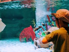 -沈阳海洋探索中心