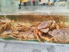 -万龙洲海鲜(大兴绿地缤纷城店)