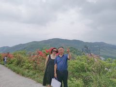 -永州阳明山国家森林公园