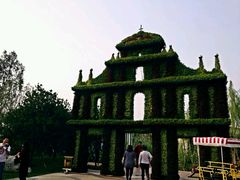 android_upload_pic-武清南湖绿博园