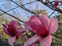 -东华门大街小区
