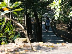 -火炉山森林公园