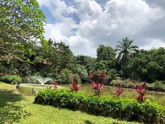 -海南热带野生动植物园